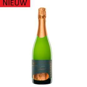 Mousserende witte wijn brut betaalbare bubbels