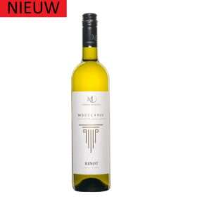 Rinot 1824 witte wijn met pit