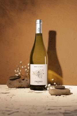 Domaine de Causse Rolle