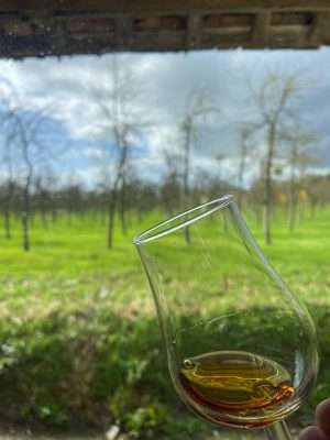 Calvados